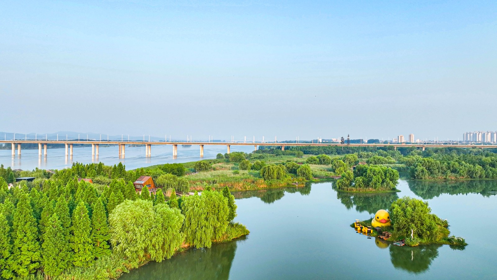 實(shí)景圖