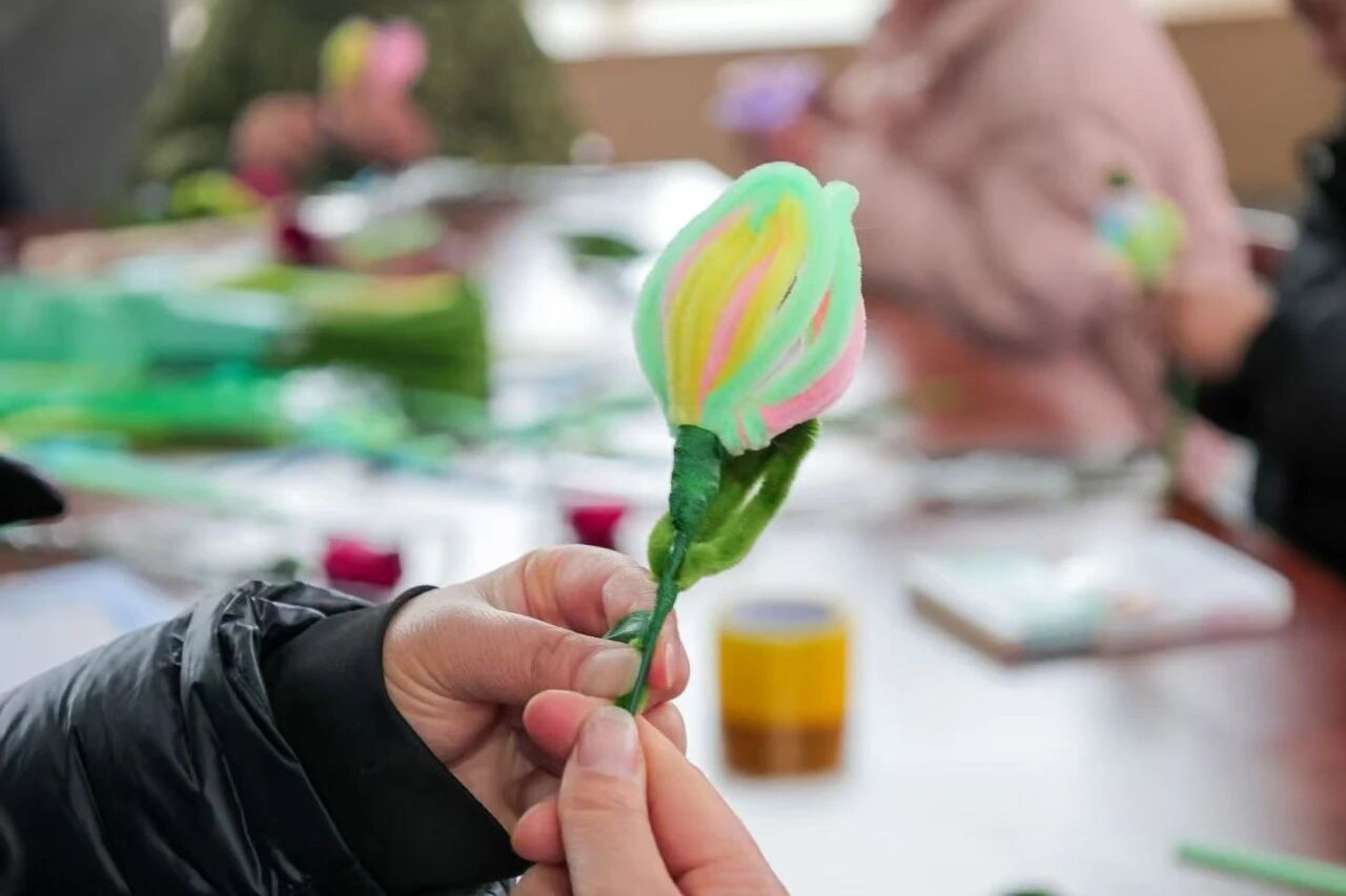 1773028434114082.jpg 1773028434114082.jpg