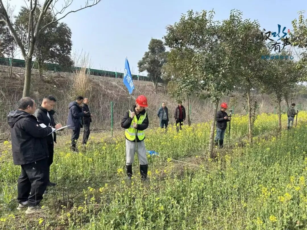 1773221286753016.jpg 1773221286753016.jpg