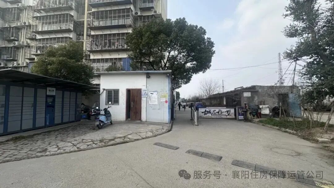 1773384632353836.jpg 1773384632353836.jpg