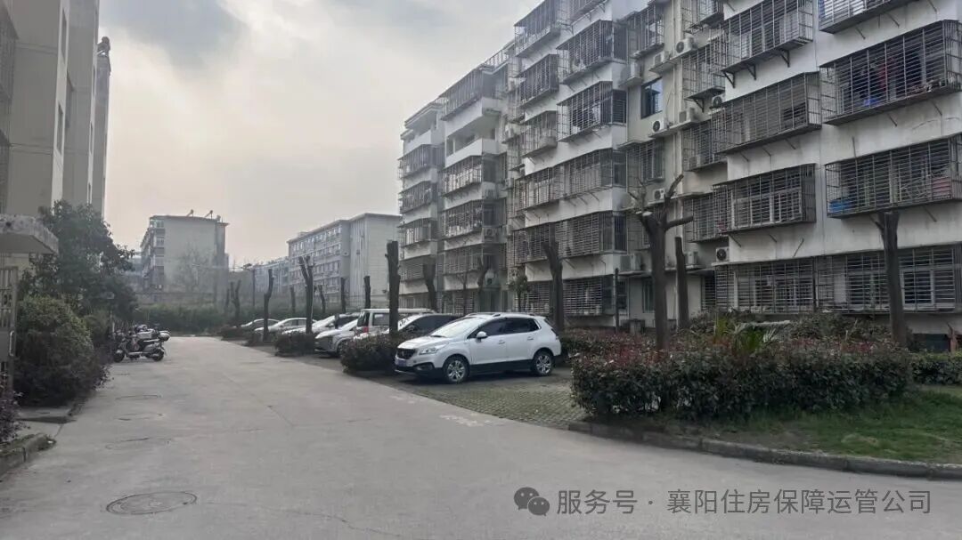 1773384648317905.jpg 1773384648317905.jpg