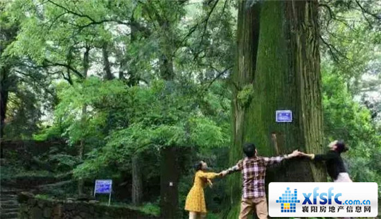 1814523302ab0f34575962.jpg 微信圖片_20171118144359.jpg