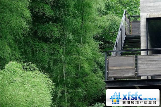 181459393ebbfdf60e9224.jpg 微信圖片_20171118144443.jpg