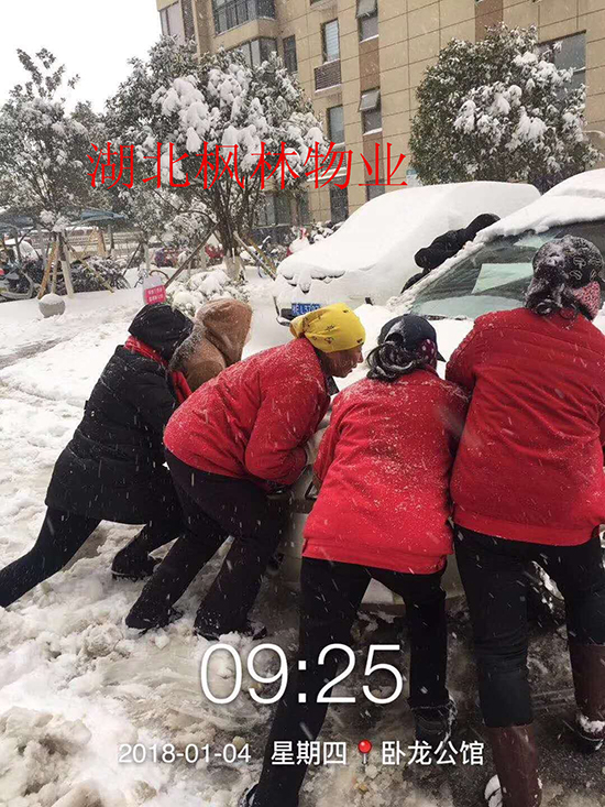 單圖2.jpg