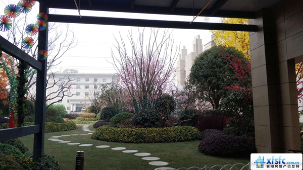 實(shí)景圖