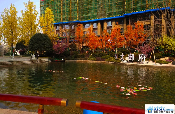 實(shí)景圖