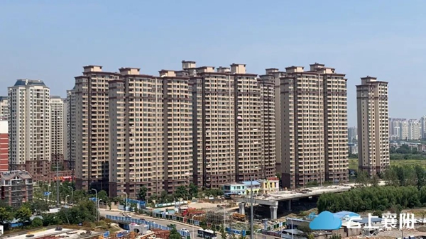 111.jpg